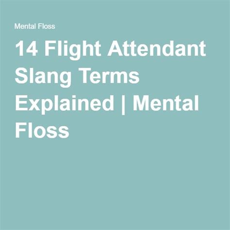 14 Flight Attendant Slang Terms Explained