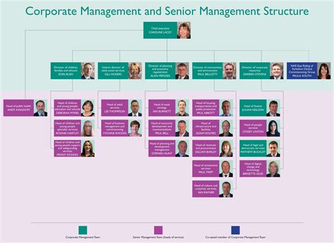 Pdf Corporate Management And Senior Management Structure Dokumentips