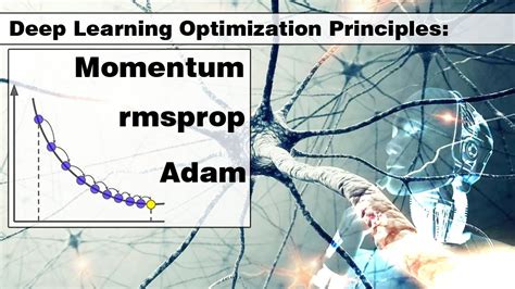 adam rmsprop momentum optimization algorithm principles in deep learning