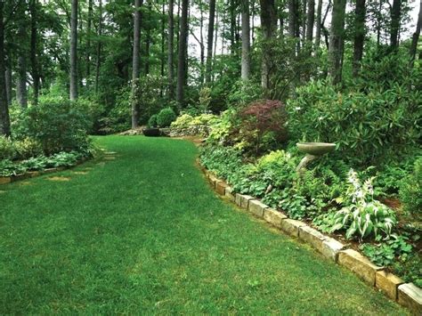 Wooded Backyard Backyard Forest Landscape Ideas You Can Convert Your