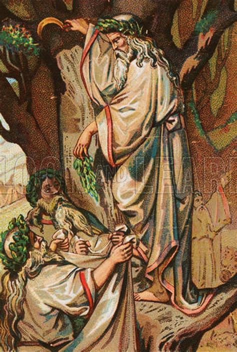 Its About Time The Druids And Mistletoe The Winter Solstice