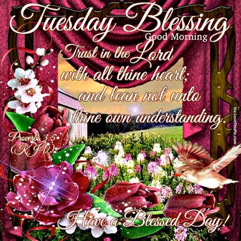 Tuesday Blessings Good Morning Pictures Photos And Images For