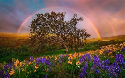 Download Stunning Beauty Of A Rainbow In The Sky