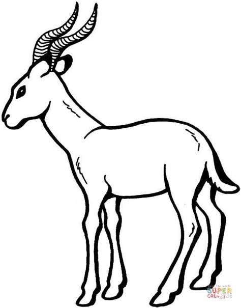 9,896 likes · 108 talking about this. Antelope 17 coloring page | Free Printable Coloring Pages