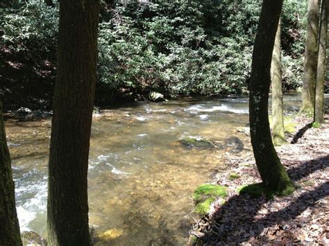 Lake lanier offers a wide variety of camping options from luxury rv resorts to hike in primitive campsites for tents. 5 Primitive Camping Getaways in the Mountains of North Georgia