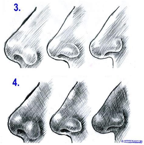 How To Draw Realistic Noses Draw Noses Step By Step Nose People Images And Photos Finder