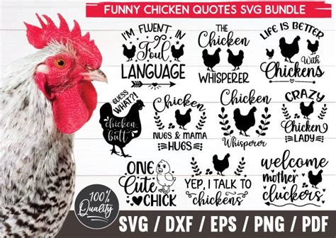 Funny Chicken Quotes Svg Bundle Gráfico Por Funnysvgmax · Creative Fabrica