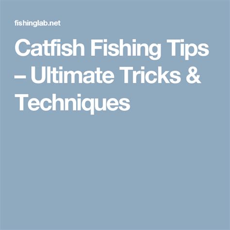 Catfish Fishing Tips Ultimate Tricks And Techniques Catfish Fishing