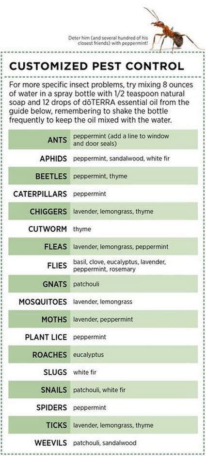 Also, using essential oils in homemade sprays won't have a negative effect on the atmosphere or other surrounding elements in the garden such as soil or other plants. Safe and Natural Pest Control Using Essential Oils (With ...
