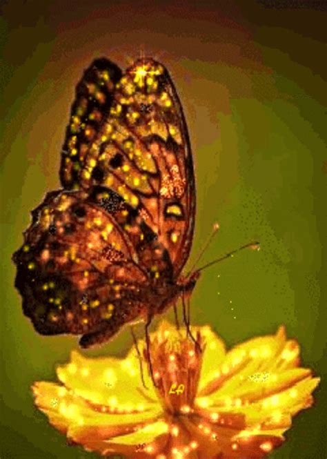 A Butterfly Sitting On Top Of A Yellow Flower With Lights In Its Wings
