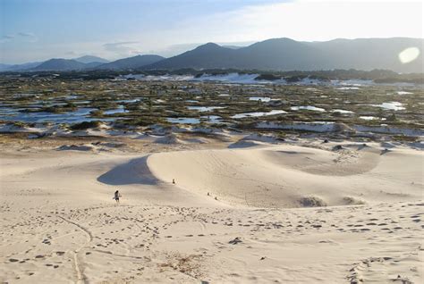 Manezim De Floripa Readequação Do Parque Municipal Das Dunas Da Lagoa