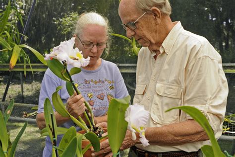 5 Benefits Of Hobbies To Senior Citizens