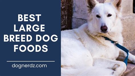 10 Best Large Breed Dog Foods In 2022 Dog Nerdz