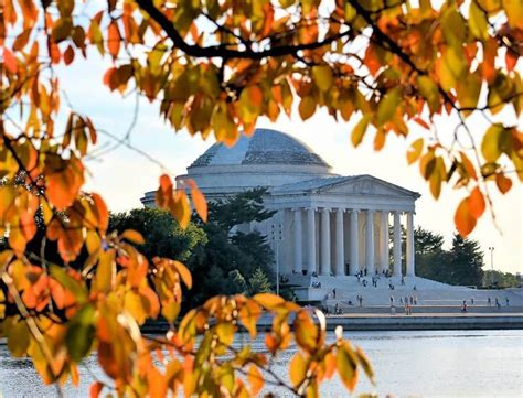 Lahovermandc Fall Foliage On The National Malls Tidal Basin Free Outdoor Fall Activities