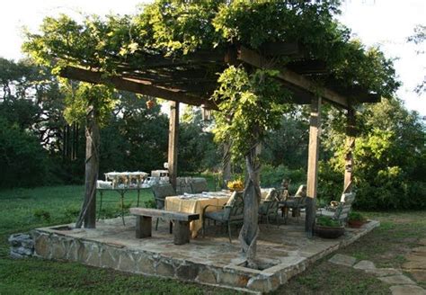 Pergola With Grape Vines Christles Backyard Pinterest