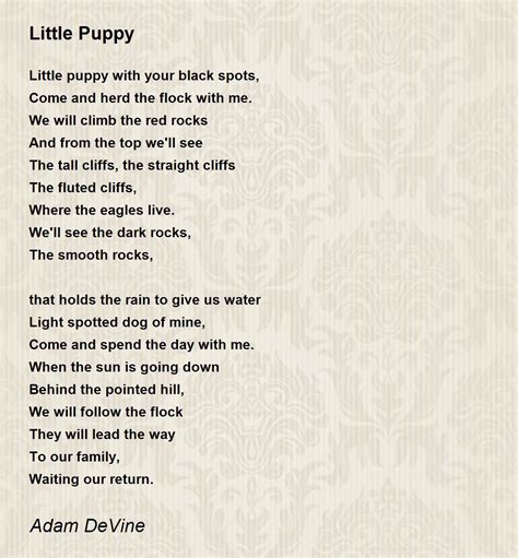 Little Puppy Little Puppy Poem By Adam Devine