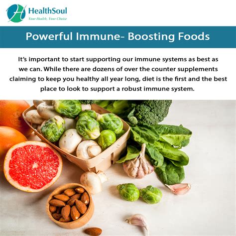 4 Powerful Immune Boosting Foods To Add To Your Diet This Winter Diet