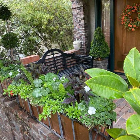 The Top 71 Container Garden Ideas Landscaping And Design