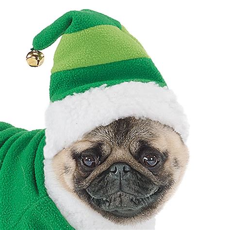 Omg Yes A Fleece Elf Hat For Pugs Also This Pug Has A Creepy