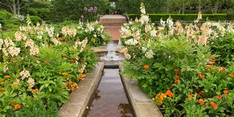 Horticulture Chicago Botanic Garden