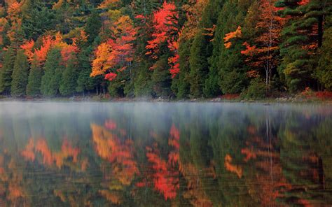 Autumn Forest Fog Lake Wallpaper Drive