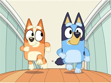 Abcs Bluey Greenlit For Another Season