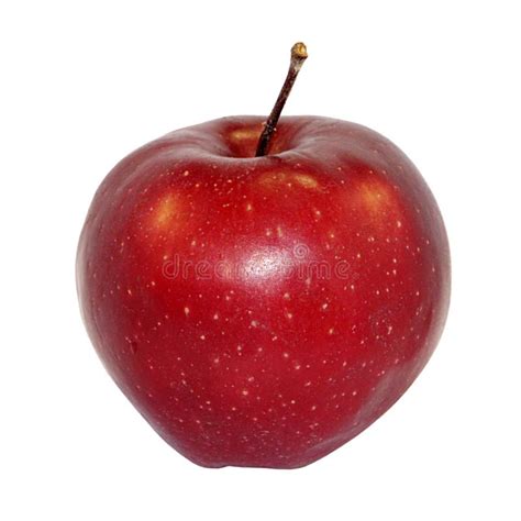 Apple Isolated On White Background Stock Photo Image Of Diet Object