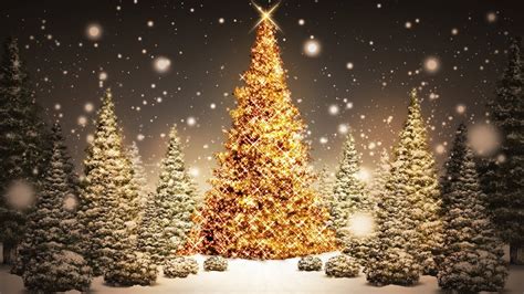 Christmas Tree Backgrounds ·① Wallpapertag