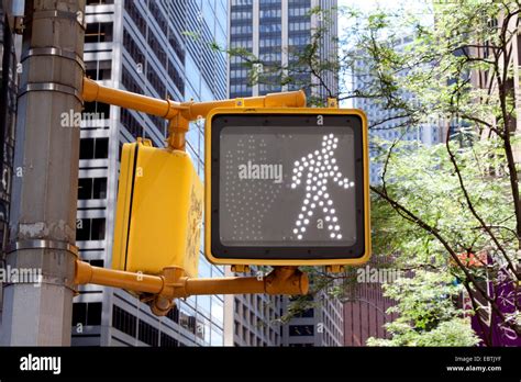 Pedestrian Light With White Signal Usa New York City Stock Photo Alamy
