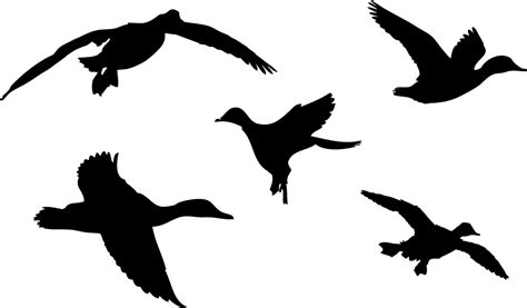 Duck Flying Silhouette Clipart Best