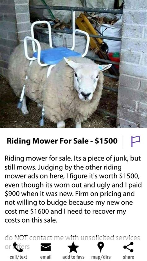 Most Hilarious And Crazy Ads On Craigslist