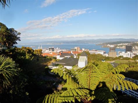 Wellington Panorama And Botanical Gardens New Zealand Motoroaming