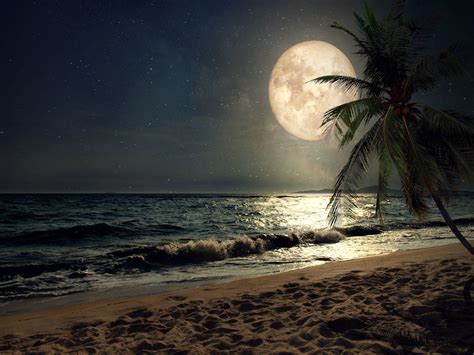 Moonlight Beach Wallpapers Top Free Moonlight Beach Backgrounds
