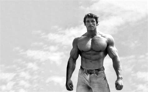 Download Wallpapers Arnold Schwarzenegger American Actor Young