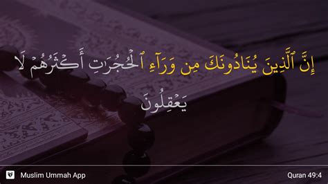 Read surah hujurat ayat 6 49:6 with translation. Al-Hujurat ayat 4 - YouTube