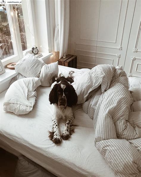 Kolekcje użytkownika agata wilk • ostatnia aktualizacja: Kasia Tusk pokazała nowe zdjęcia swojego mieszkania. Szyk ...