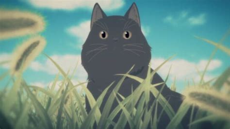 Top 25 Best Anime Cats That Are Purrfect 2023