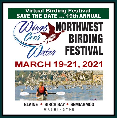 The Festival Wings Over Water Birding Festival Blaine