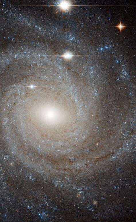 Spiral Galaxy Ngc 3344 Ngc 3344 Is A Glorious Spiral Galaxy Around Half