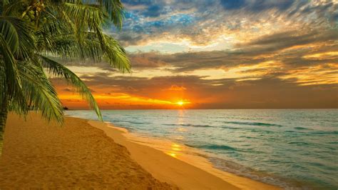 The Sun Is Setting Over The Ocean With Palm Trees On The Beach In Front Of It