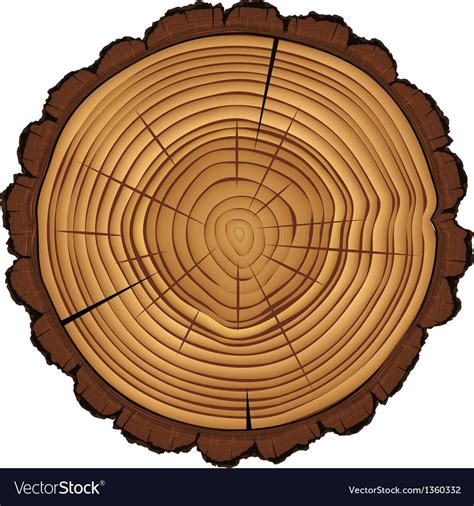 Cross Section Of Tree Stump Vector Eps10 Illustration Download A Free