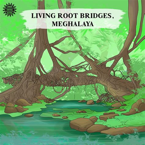 Meghalayas Living Bridges Amar Chitra Katha