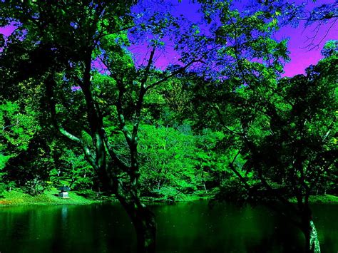 Emerald Forest Lake Forest Nature Emerald Sky Lake Hd Wallpaper