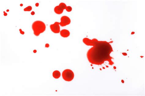 Blood Spatter Photograph by Cordelia Molloy - Fine Art America