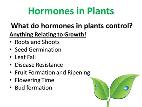How Is Plant Growth Controlled Plant Hormones Teaching Resources