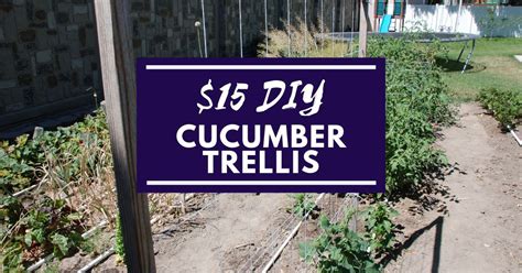 No tools are required—just bailing twine and two posts—and you can even plant another row of crops like lettuce and radishes underneath the pallet. Simple Cucumber Trellis for only $15 - Our Stoney Acres