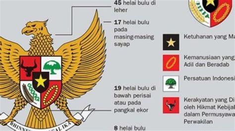 Mengenal Jumlah Bulu Burung Garuda Sebagai Lambang Negara Indonesia