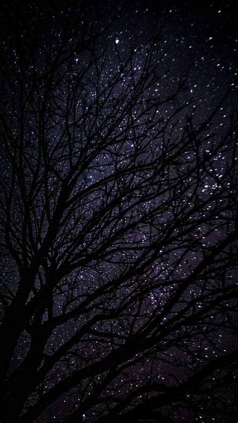 Download Wallpaper 1080x1920 Tree Starry Sky Dark Night Samsung