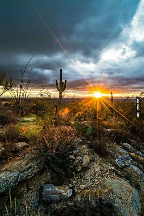 Arizona Sunset Arizona Sunset Beautiful Landscapes
