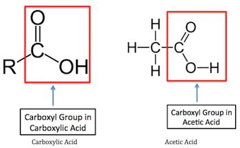Since they contain both hydroxyl and carbonyl functional groups, carboxylic acids participate in hydrogen bonding as. What is the functional group which is present in vinegar ...